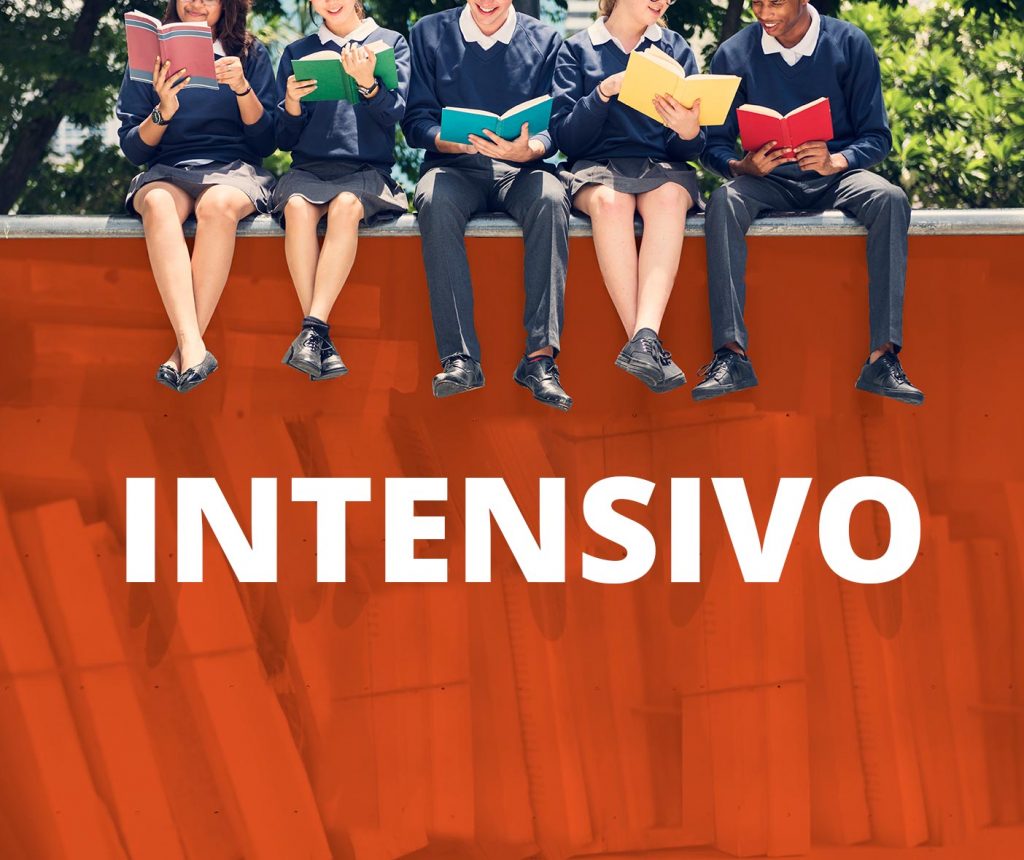 cursos intensivos están dirigidos a aquellos estudiantes que quieran dominar el español